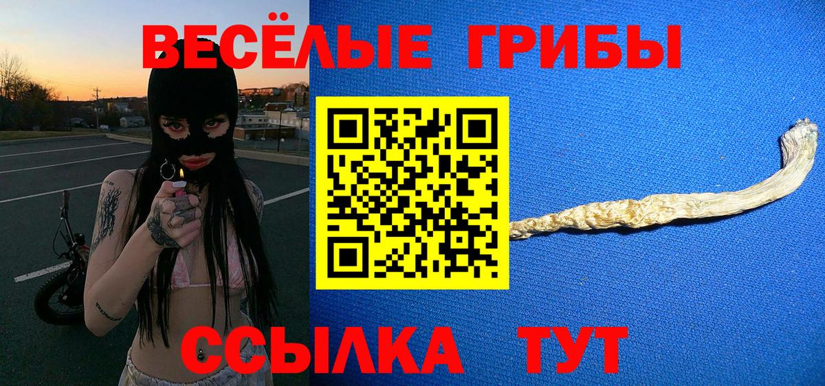 Казань  Псилоцибиновые грибы мухоморы  даркнет сайт  Вход с VPN 