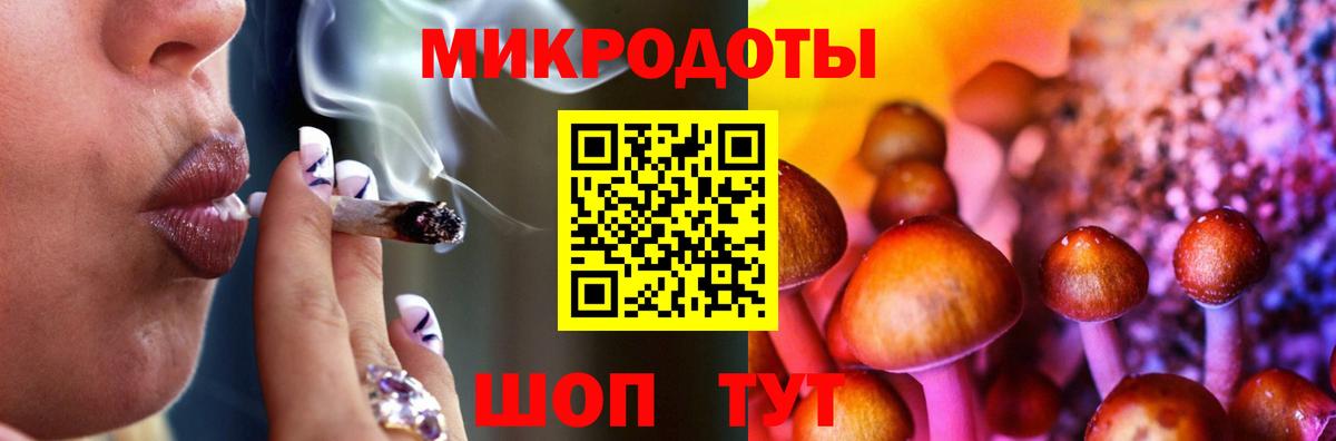 Псилоцибиновые грибы прущие грибы Казань